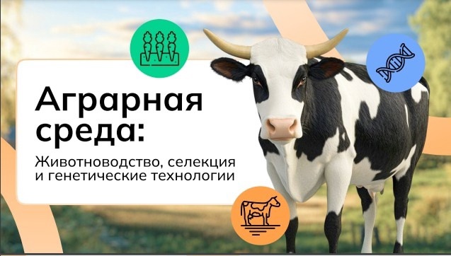 РОССИЯ - МОИ ГОРИЗОНТЫ.