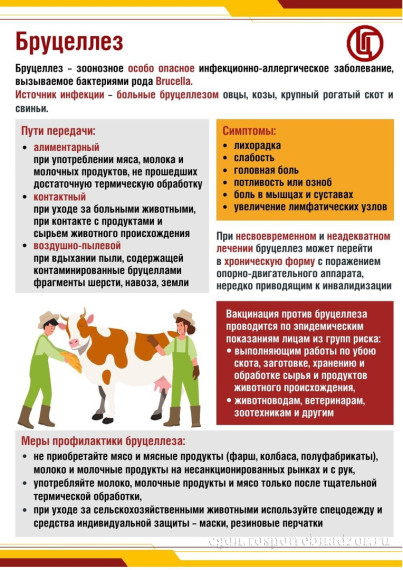 Роспотребнадзор напомнил о профилактике бруцеллеза и разработал полезную памятку.